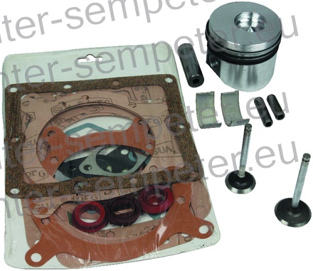 DELI ZA POPRAVILO LOMBARDINI LDA 530 - 6LD 360