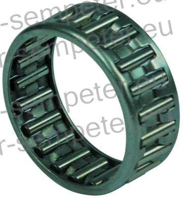 LEŽAJ IGLIČASTI 075657 BQ