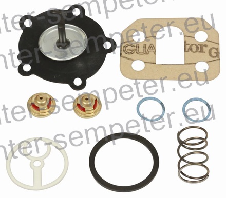 DELI SET ČRPALKE GORIVA AC grt