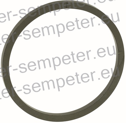 GUMICA O - RING FIAT