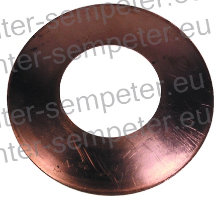 PODLOŽKA SATELITA DIFERENCIJALA TD - TORPEDO 45 - 48 - 55