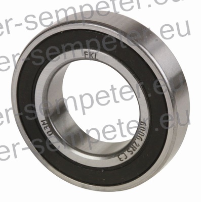 LEŽAJ FKL KROGLIČNI 6006 2RS C3 AQ