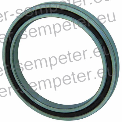 LEŽAJ TLAČILKE CR večji spec LUCAS - DELPHI