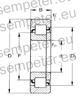 LEŽAJ VALJČNI NUP 307 BQ