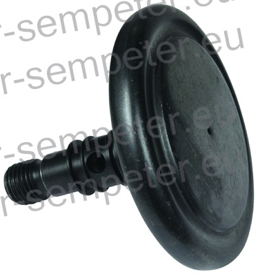 DUŠILEC LUCAS - DELPHI