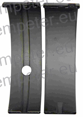 LEŽAJ GLAVNI MOTORJA STD (par) FIAT - IVECO