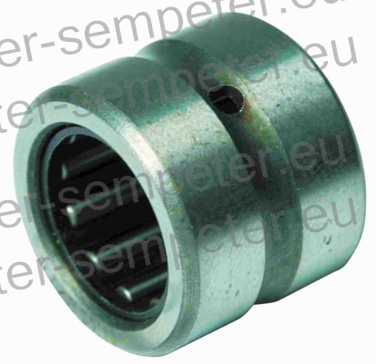 LEŽAJ IGLIČASTI BQ