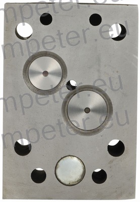 GLAVA MOTORJA polna ZETOR