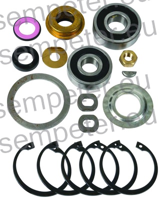 DELI ZA POPRAVILO ČRPALKE VODE STEYR