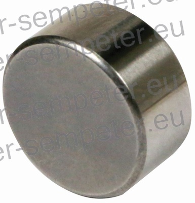 PLOŠČICA PODLOŽNA GLAVE BCS S.T. EUROPA