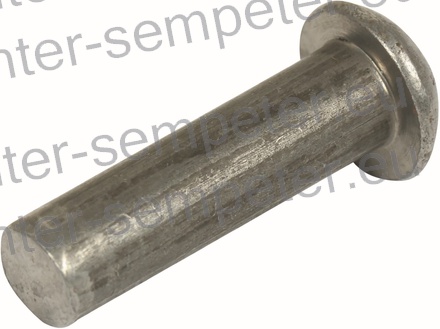 KOVICA Z OKROGLO GLAVO