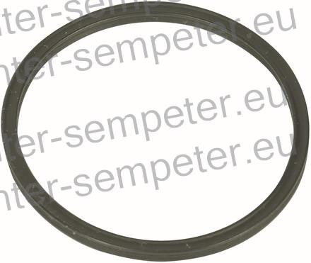 GUMICA O - RING FIAT