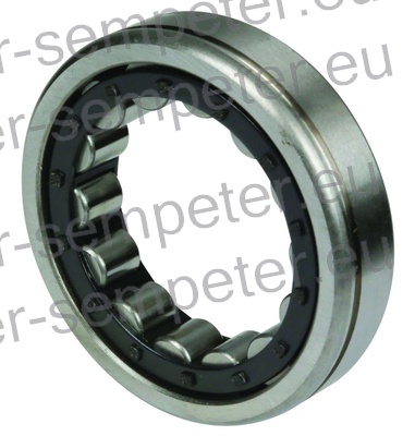 LEŽAJ VALJČNI NJ207 ETNG Z UTOROM (pazi fi osovine pri TD!!!)