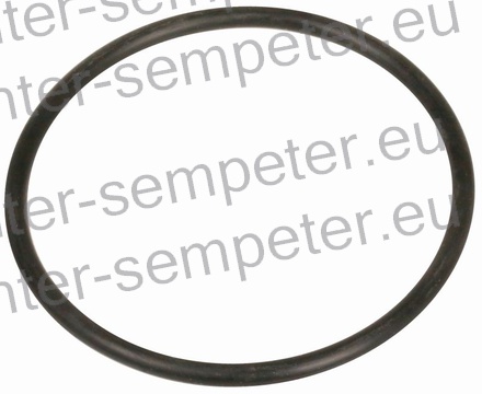 GUMICA ČRPALKE VODE STEYR