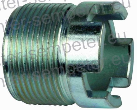 MATICA NOSILCA ŠOBE