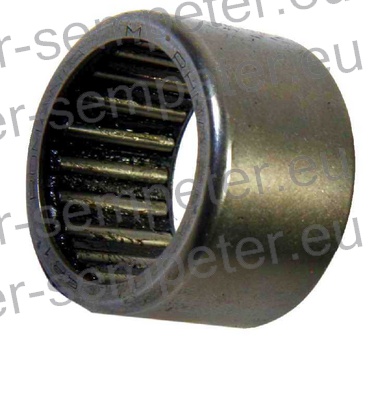 LEŽAJ IGLIČASTI BQ