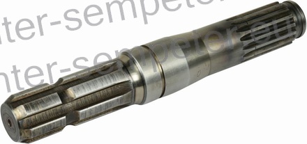 GRED POGONSKA SPIDER SIP