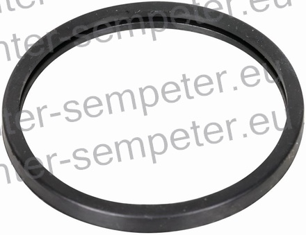 GUMICA OBROČ - GUMI TERMOSTATA MOTORJA FIAT