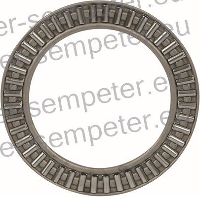 LEŽAJ IGLIČASTI SAME - SLH