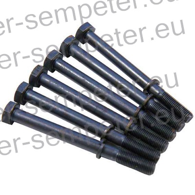 KOŠ (brez ležajev, vsebuje dve lameli pogona) SKLOPKE fi=310/310 kpl LUK STEYR 9155 - 9170 - 9190 MF - MASSEY FERGUSON 3670 - 3680 - 3690 LANDINI 17550 - 19000 VALTRA Mega (8300 - 8600 - 8800)