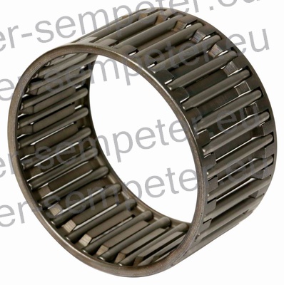 LEŽAJ IGLIČASTI FIAT