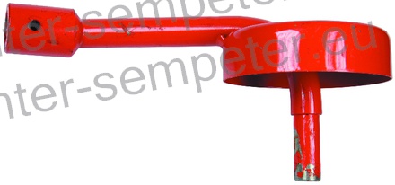 OS (PAJEK) DESNA VARJENA SIP