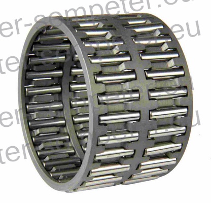 LEŽAJ IGLIČASTI BQ