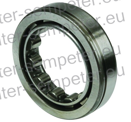 LEŽAJ VALJČNI NU207W z utorom (pazi fi osovine=43.8mm pri TD!!!) TD - TORPEDO 45 - 48 - 55