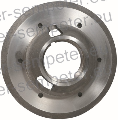 PLOŠČA ZADNJEGA DIFERENCIALA DESNA SAME - SLH