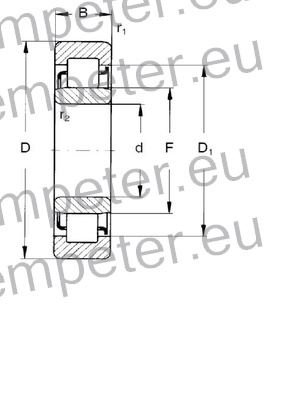 LEŽAJ VALJČNI NU1009 BQ