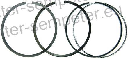 OBROČKI BATNI MOTORJA STD fi=76+0.5mm SIP KUBOTA V2203 - D1703