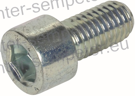 VIJAK IMBUS M10 L=20 8.8 ZN SIP