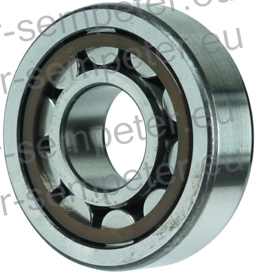 LEŽAJ VALJČNI NJ304 SIP IMPULS AQ