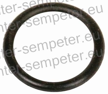 GUMICA O - RING 22x3mm