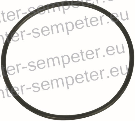 GUMICA O - RING FIAT