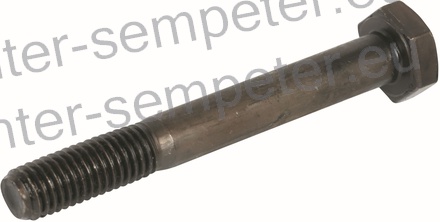 VIJAK Z GLAVO STD M10 L=80 KV10.9 ZN DIN931