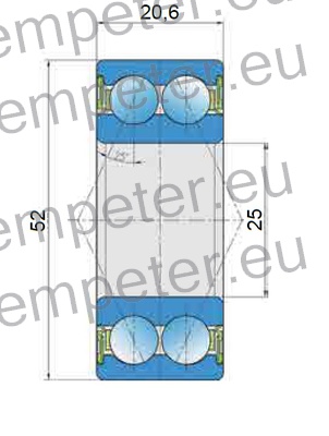 LEŽAJ KROGLIČNI DVREDNI 3205 B.2RS1 FKL