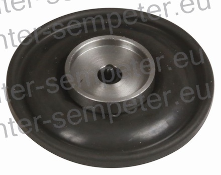 MEMBRANA kpl DPS in DP200 LUCAS - DELPHI