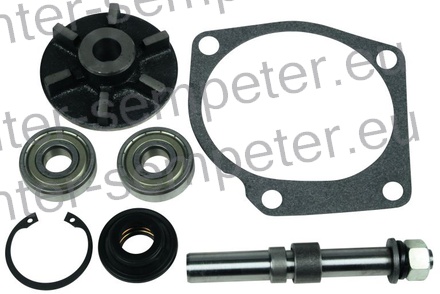 DELI ZA POPRAVILO ČRPALKE VODE MF - MASSEY FERGUSON PERKINS