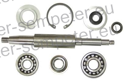 DELI ZA POPRAVILO ČRPALKE VODE grt STEYR