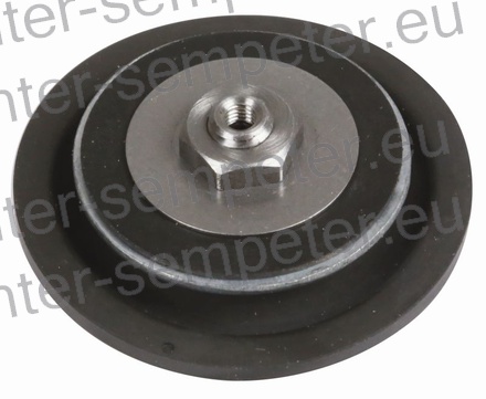 MEMBRANA kpl DPS in DP200 LUCAS - DELPHI