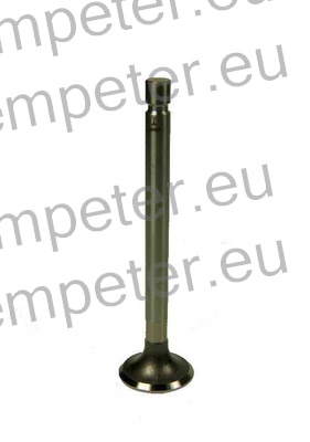 VENTIL MOTORJA izpuha STD URSUS 360