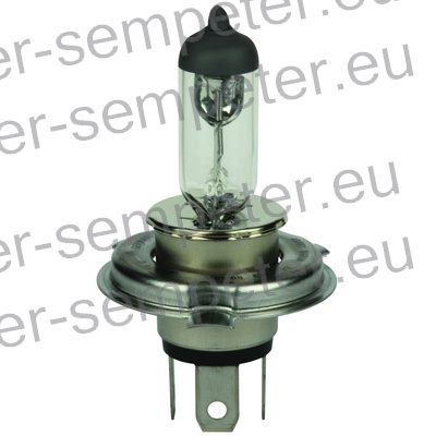 ŽARNICA H4 12V 60/55W P43T