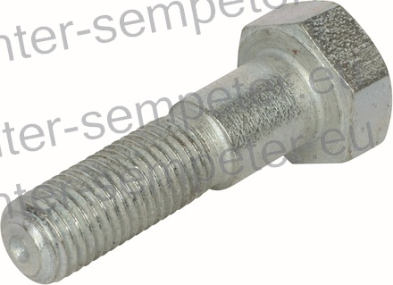 VIJAK Z GLAVO M10x1.25 L=40mm KV10.9 FIAT