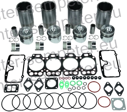 DELI GRT ZA OBNOVO MOTORJA WD 411.41 STEYR 8095AP
