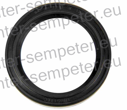 SEMERING POLOSI notranji 54 - 73.12 - 12.7 IMT 539