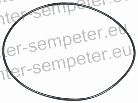 GUMICA O - RING MF - FIAT