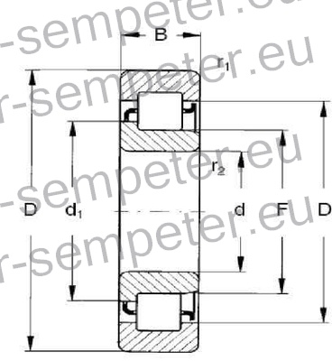 LEŽAJ VALJČNI NU207W z utorom (pazi fi osovine=43.8mm pri TD!!!) TD - TORPEDO 45 - 48 - 55