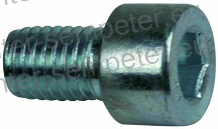 VIJAK IMBUS M10 L=16 8.8 ZN DIN912 SIP