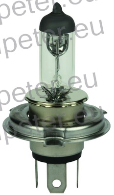 ŽARNICA H4 12V 60/55W P43T